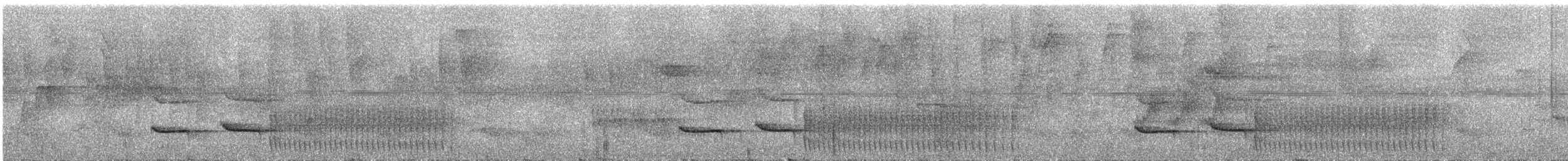 Eastern Woodhaunter - ML644023967