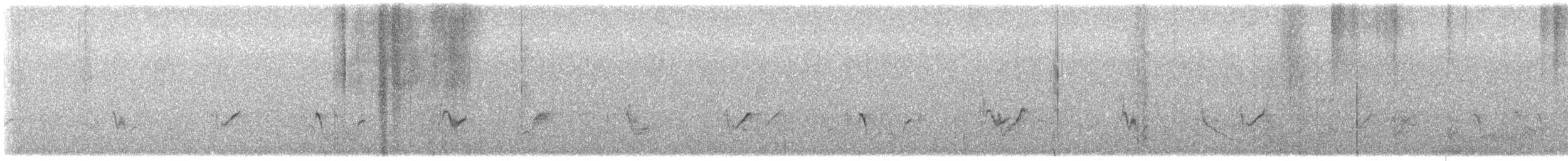 gråvireo - ML644024236