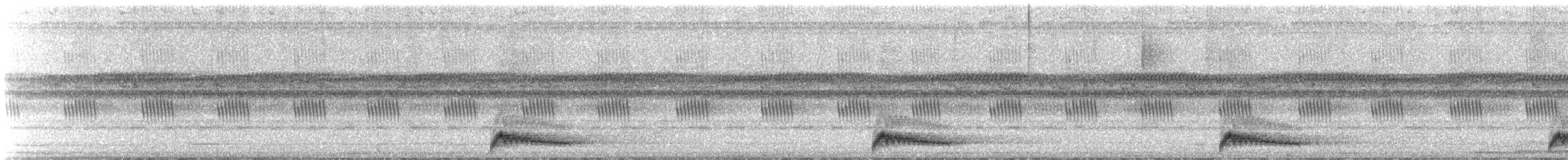 アカヨタカ - ML644025407