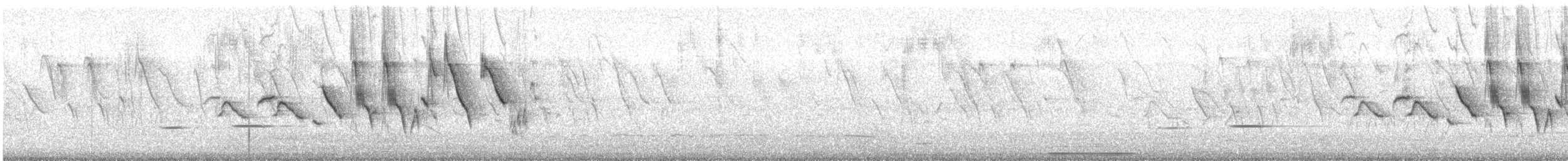 キバラヒメウソ - ML644025564