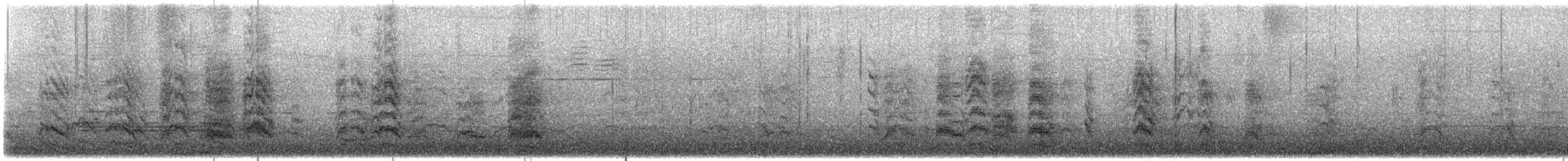 Burrowing Parakeet - ML644025616