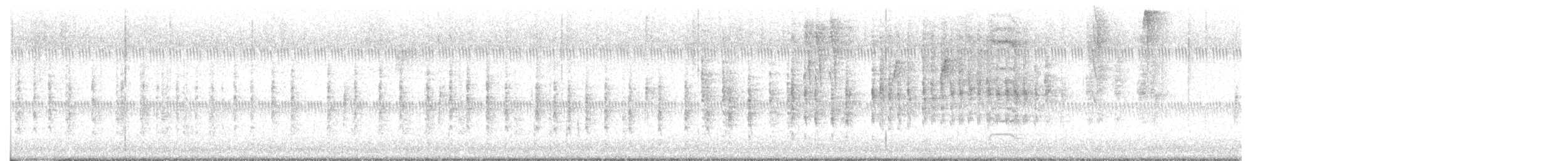 Northern House Wren - ML644027348