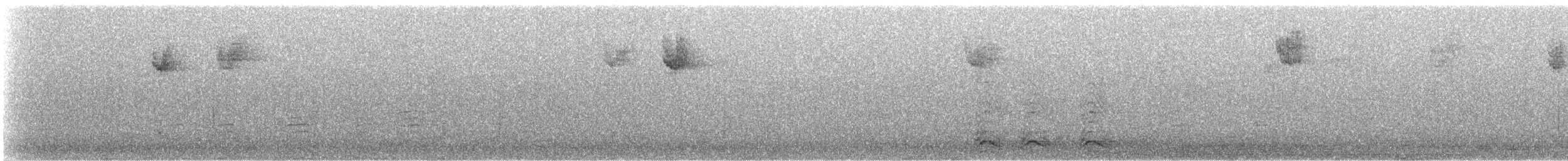 Белогорлая зонотрихия - ML644027467
