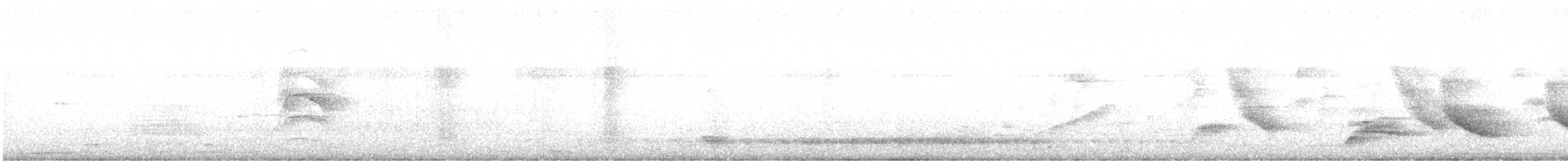 sangtrupial - ML644027569