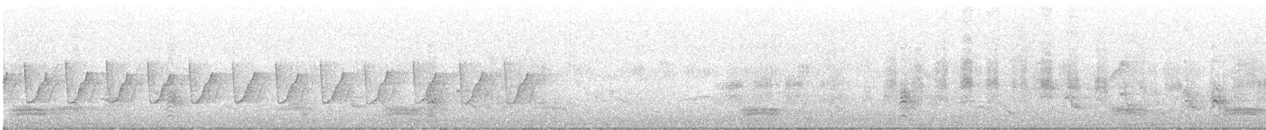 Common Tailorbird - ML644027620