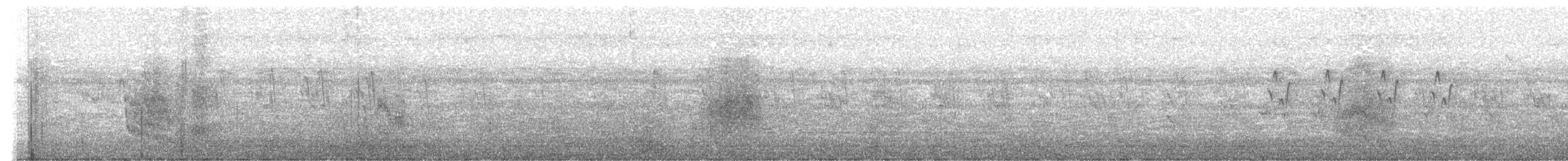 Malabarstar - ML644027625