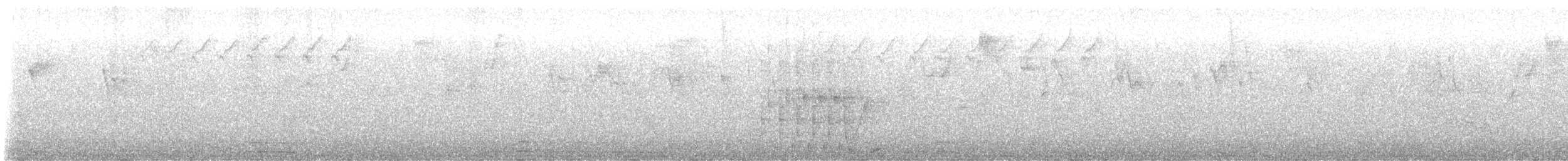 Cacique Verdioscuro - ML644027884