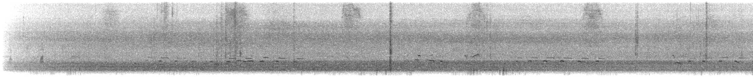 Totano zampegialle minore - ML644028056