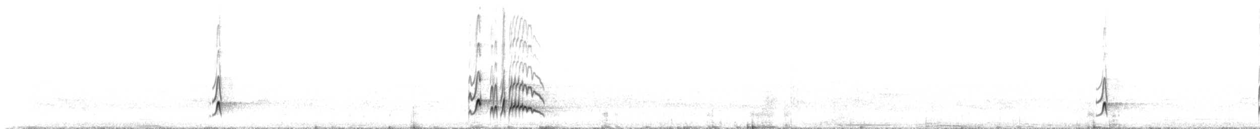 Brown-crested Flycatcher - ML644029061