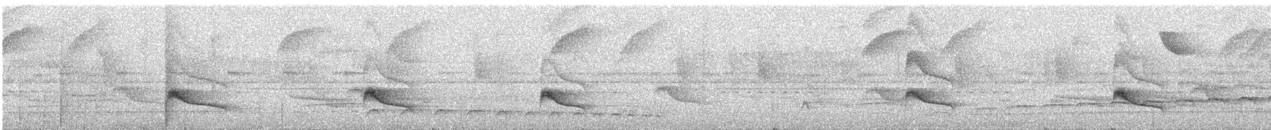 Euler's Flycatcher - ML644031197