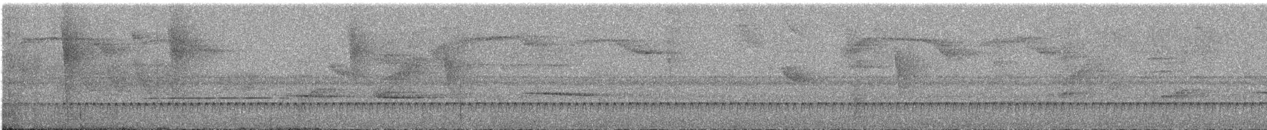 passerine sp. - ML644032156