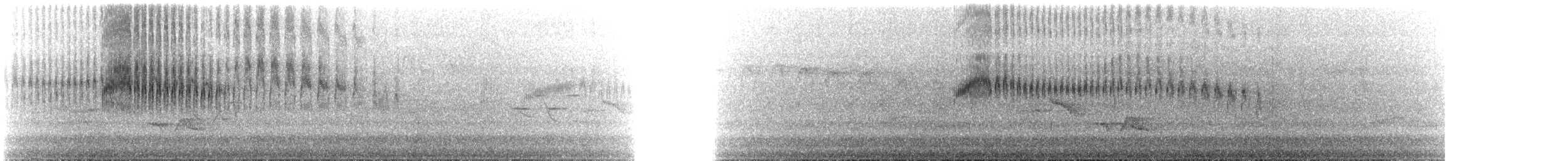 Vencejo Montañés - ML644033549