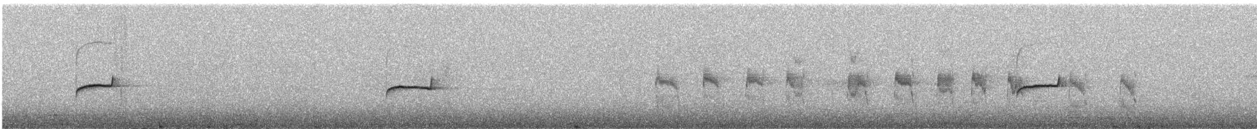 Southern Beardless-Tyrannulet - ML644033902