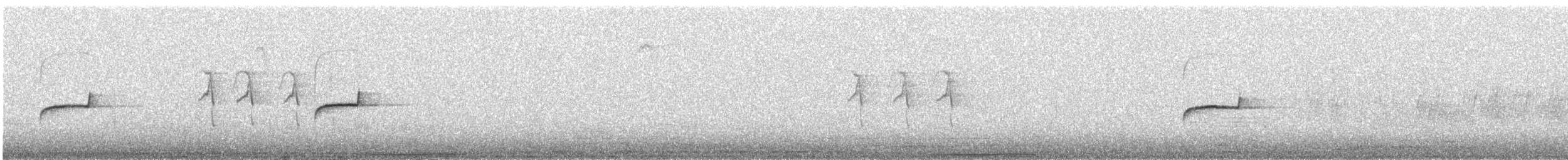 Southern Beardless-Tyrannulet - ML644033904