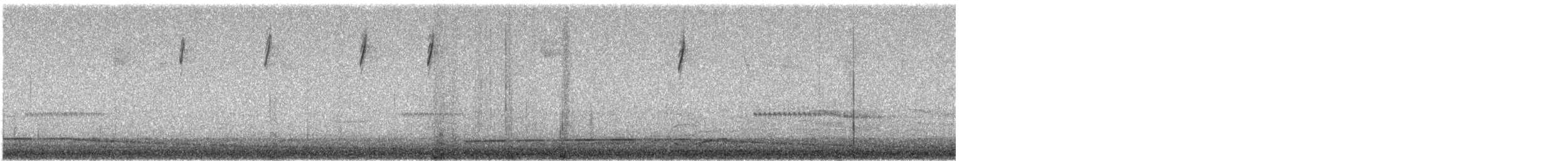 new world warbler sp. - ML644033925