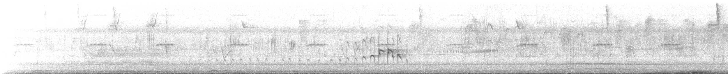 Piojito Pardo - ML644033998