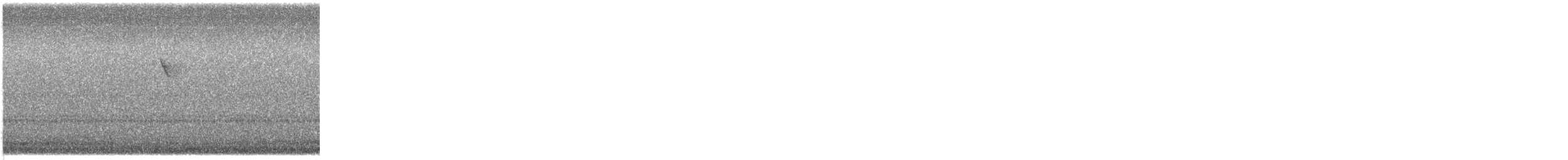 Northern Parula - ML644034249