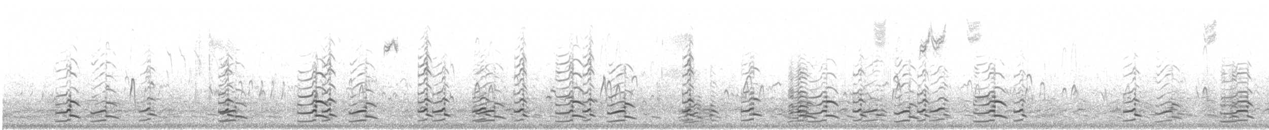 berneška malá (ssp. leucopareia) - ML644034632