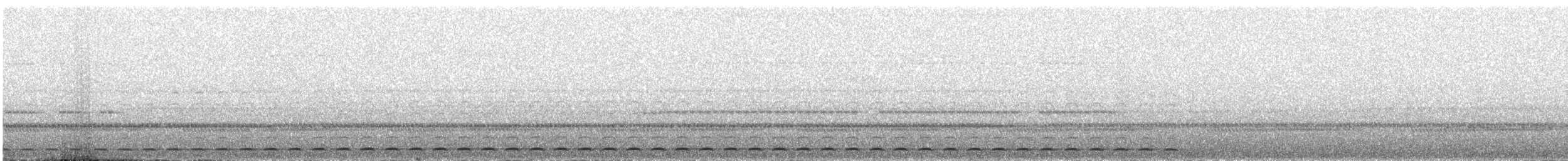 Autillo Pálido (Pálido) - ML644034723