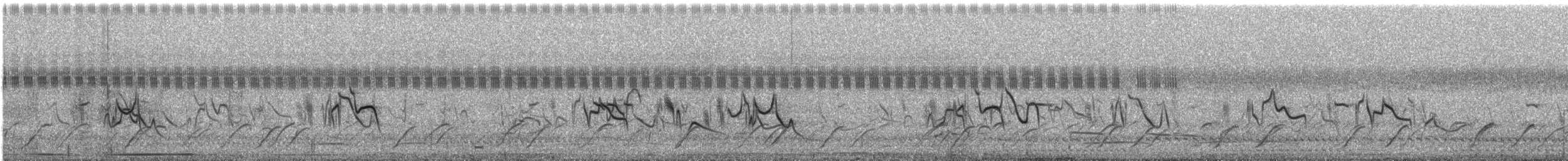 Wedge-tailed Grass-Finch - ML644034969