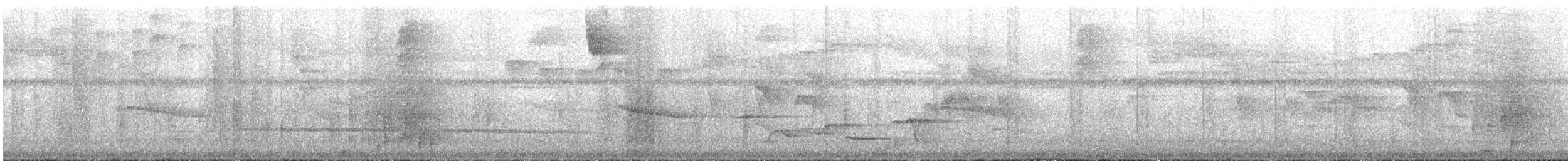 Baudo Oropendola - ML644035145