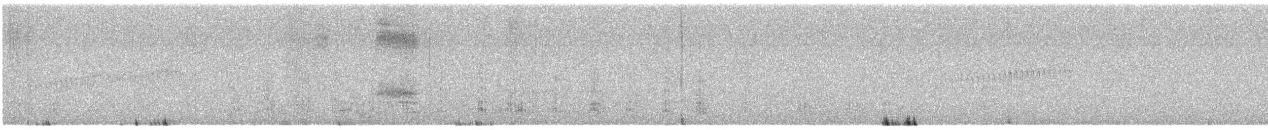 ミナミカラカラ（plancus） - ML644035278