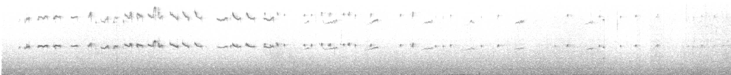 Ak Sokumlu Kumkuşu - ML644036111