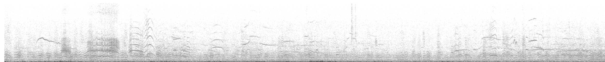 franklinmåke - ML644036114