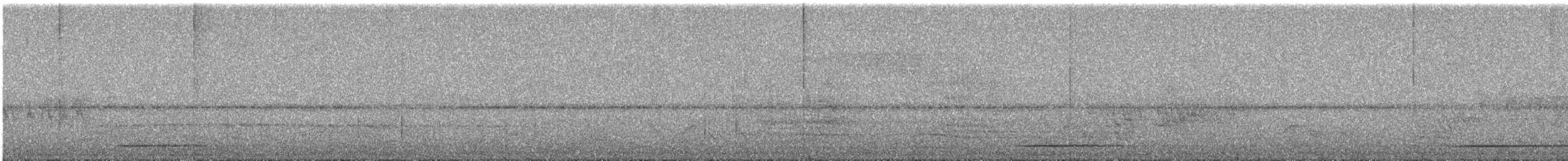 Tinamou tao - ML644037785