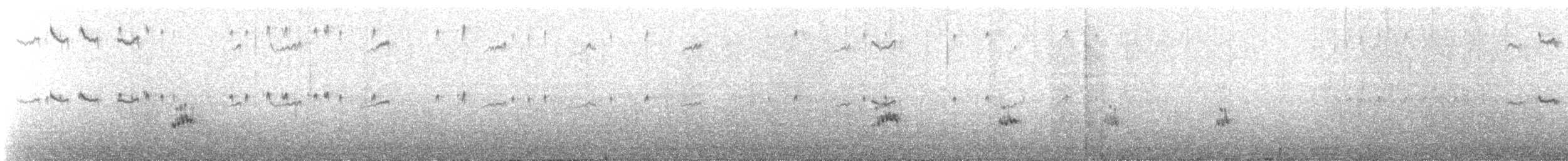 jespák skvrnitý - ML644038571