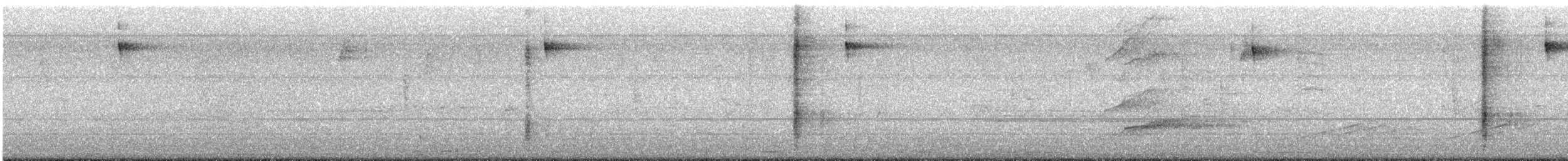 סבכון חום-לחי - ML644039668