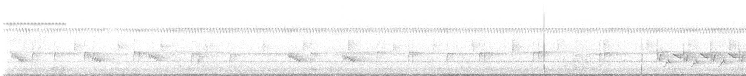 Troglodyte de Caroline - ML644041817