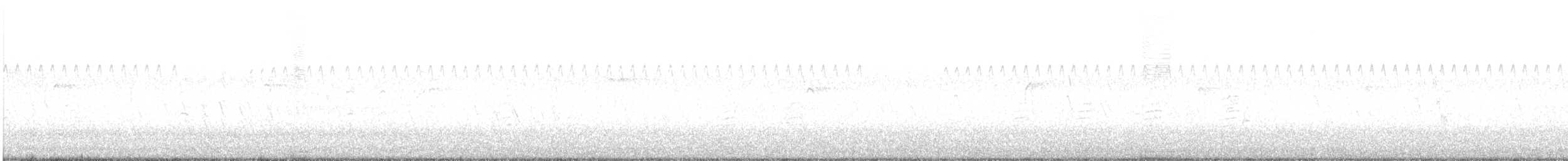 Pic chevelu - ML644042614
