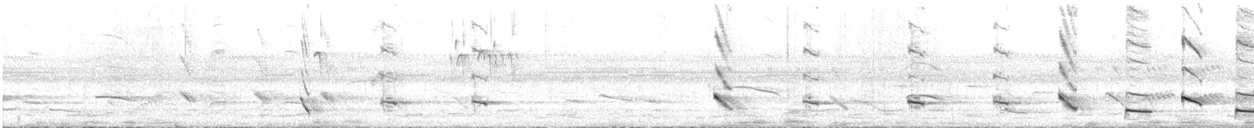 Carouge chopi - ML644044222