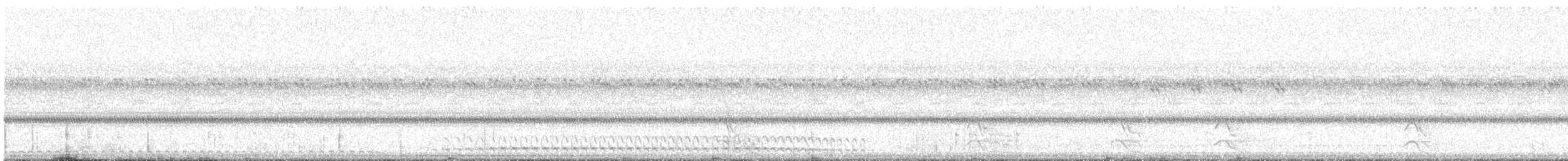 Eastern Screech-Owl (McCall's) - ML644045448