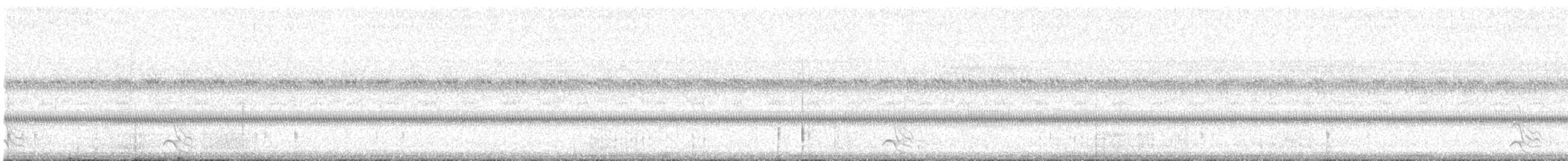 Eastern Screech-Owl (McCall's) - ML644045449