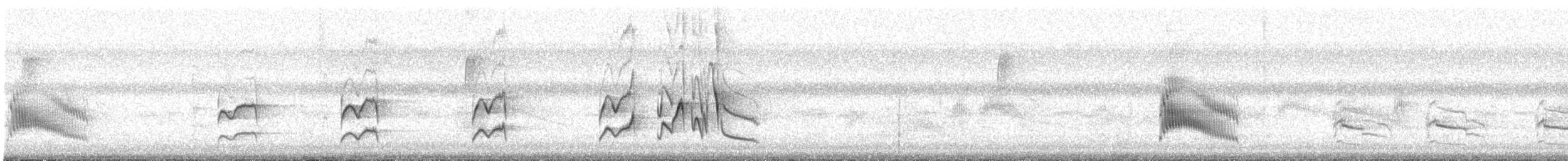 Couch's Kingbird - ML644045471