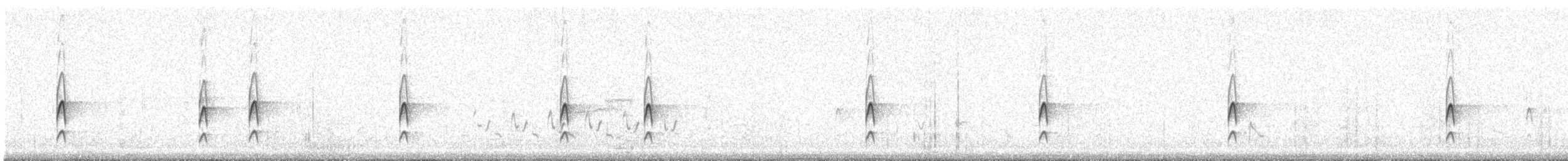 Couch's Kingbird - ML644045473