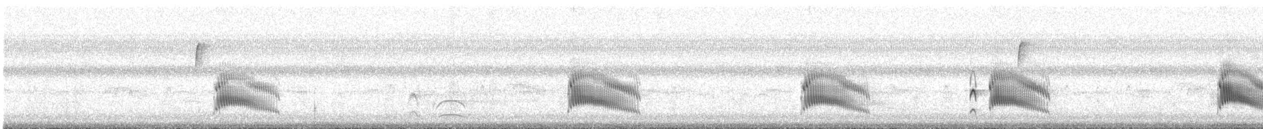 Couch's Kingbird - ML644045484