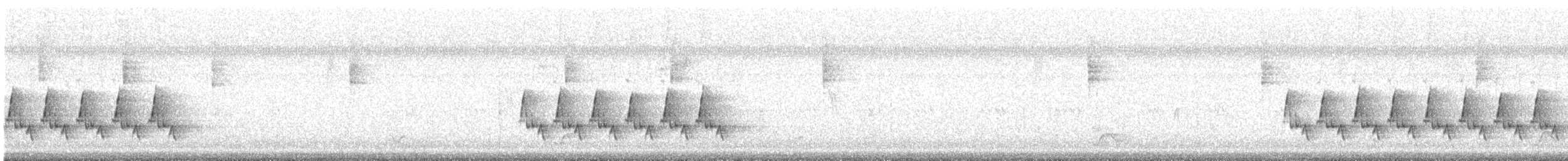 Carolina Wren (Northeast Mexico/South Texas) - ML644045517