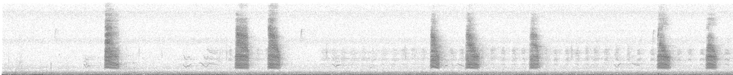 Long-billed Thrasher - ML644045540