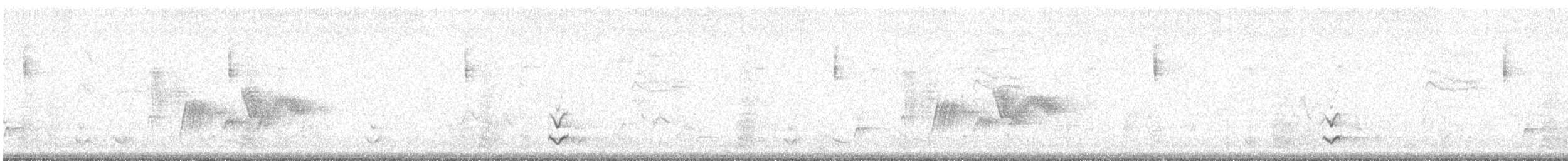 Long-billed Thrasher - ML644045548