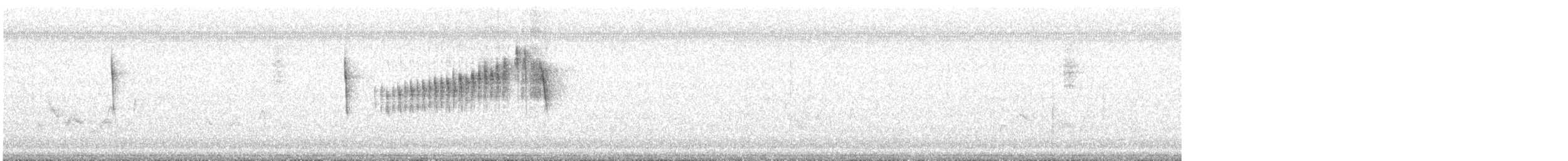 ミナミアサギアメリカムシクイ（nigrilora） - ML644045589