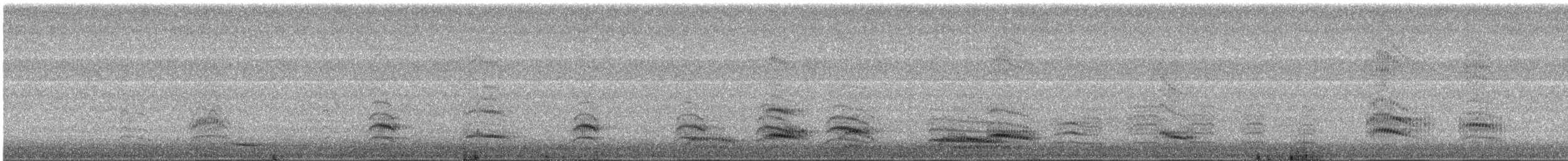 Brown-hooded Gull - ML644046483