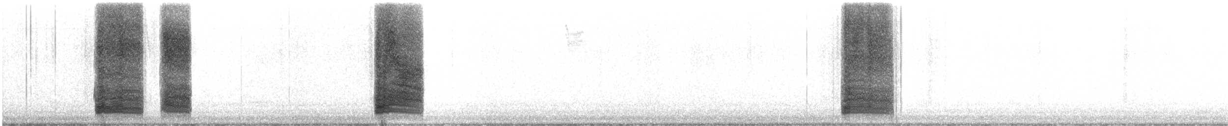 Einsiedler-Musendrossel - ML644047075