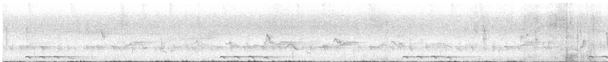 Coucou de Madagascar - ML644047360