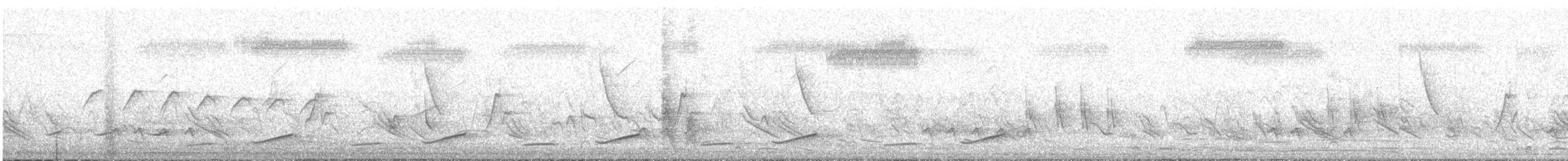Venezuelan Troupial - ML644048327