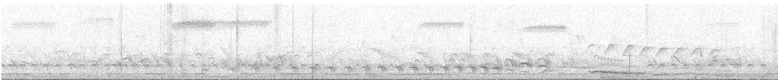 Black-crested Antshrike - ML644048840