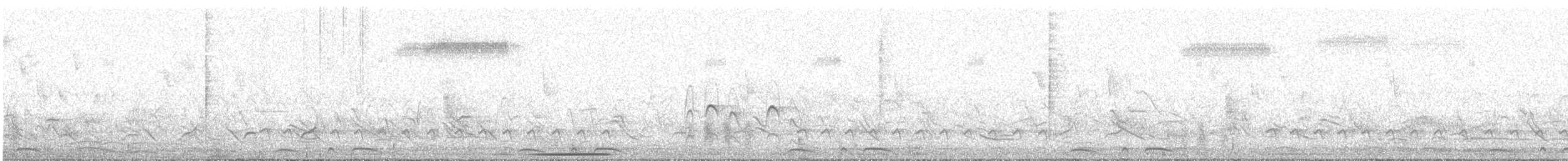 Northern White-fringed Antwren - ML644048894