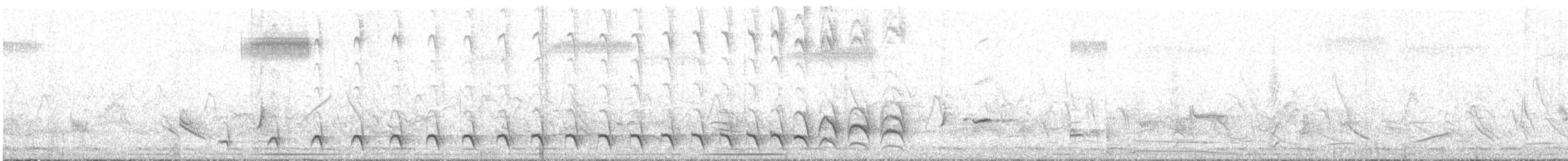 Black-crested Antshrike - ML644049128